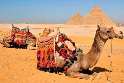 Day Trip to Cairo from Hurghada with Domestic Flight Included