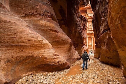Petra Sightseeing 1 day Tour from Sharm el Sheikh