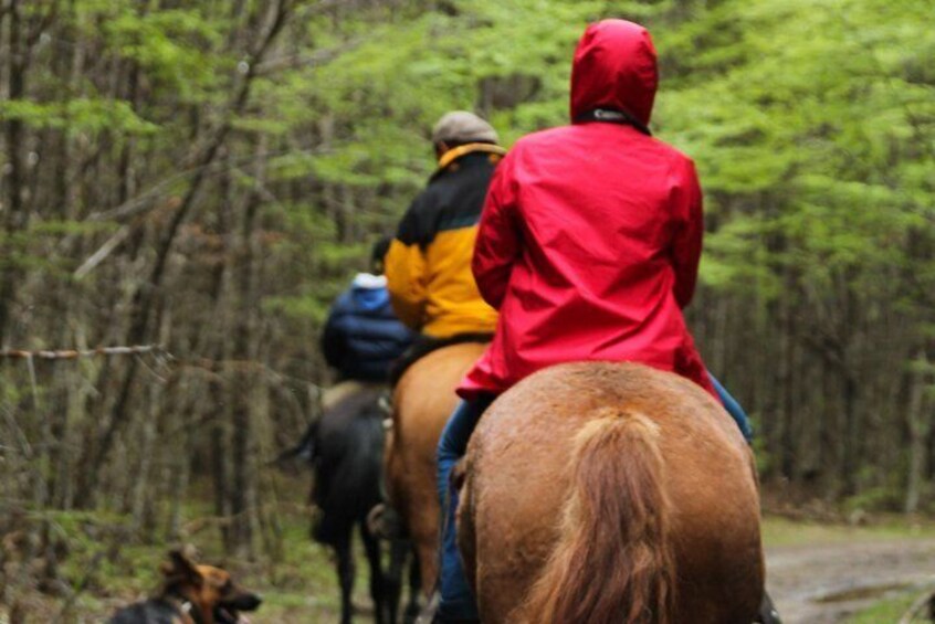 "Horseback Riding" - Ushuaia, Tierra Del Fuego, Argentina