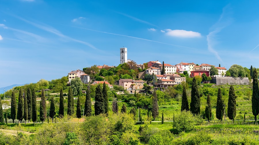 Istrian Hilltops Treasures