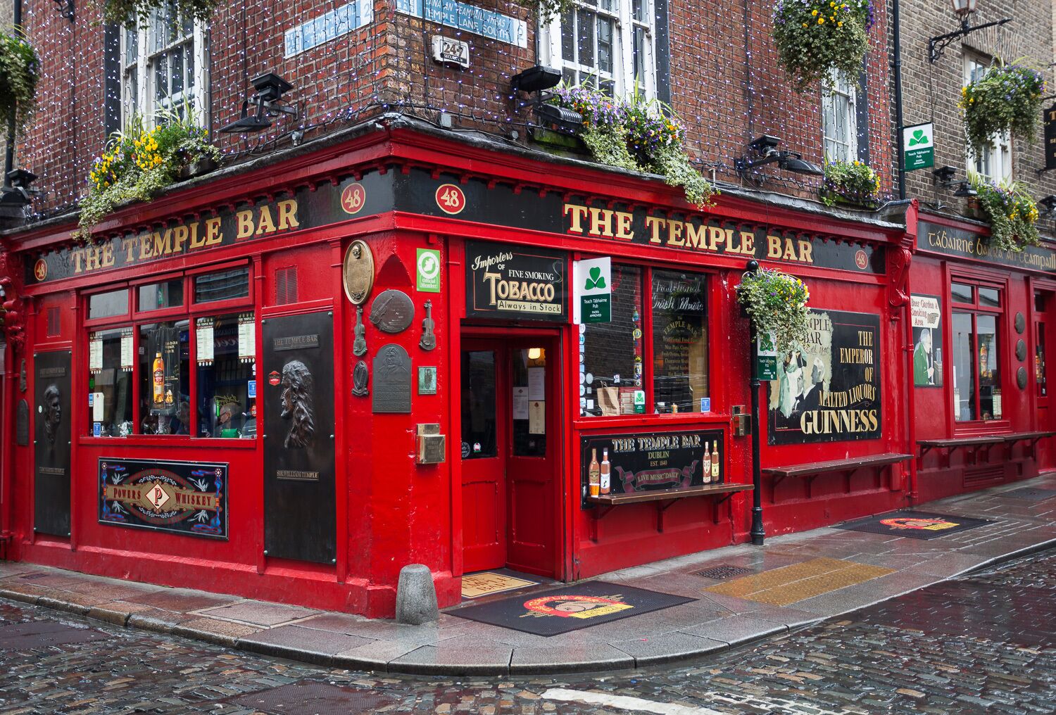 Temple Bar Walking Tour, history of the Irish pubs