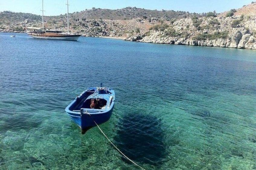 Boat Tour