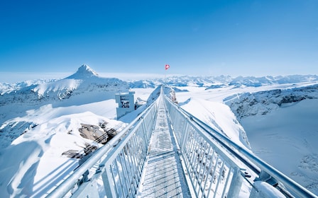 Glacier 3000, Montreux Tour privé avec guide chauffeur