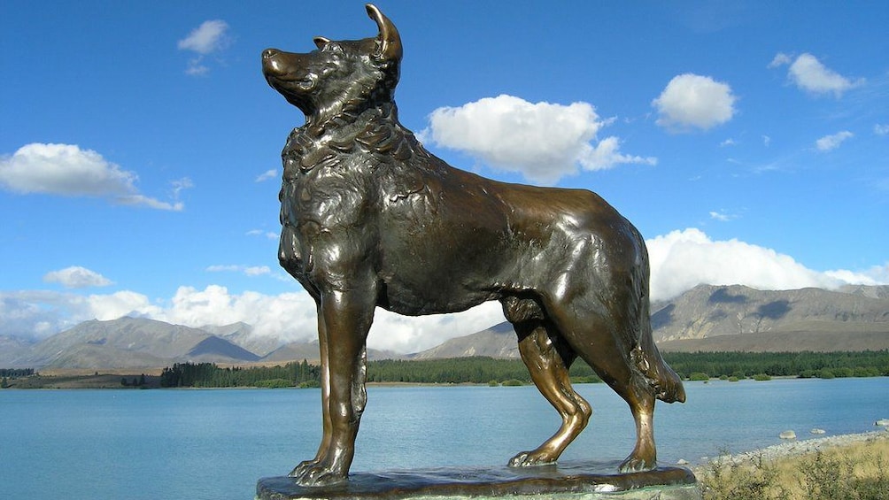 Sculpture of sheep heard dog in bronze in Mount Cook New Zealand. 