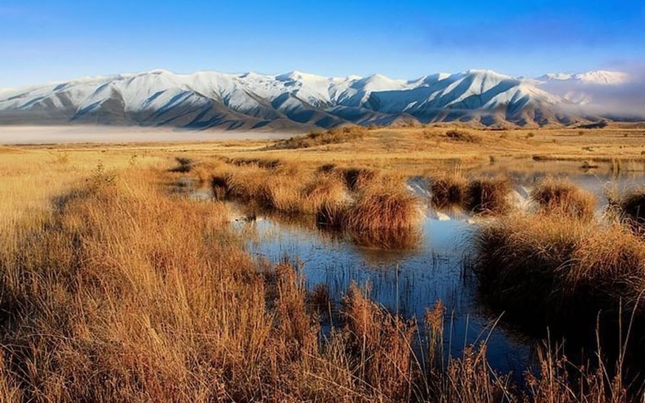 Full-Day Mount Cook National Park & Lake Tekapo Tour