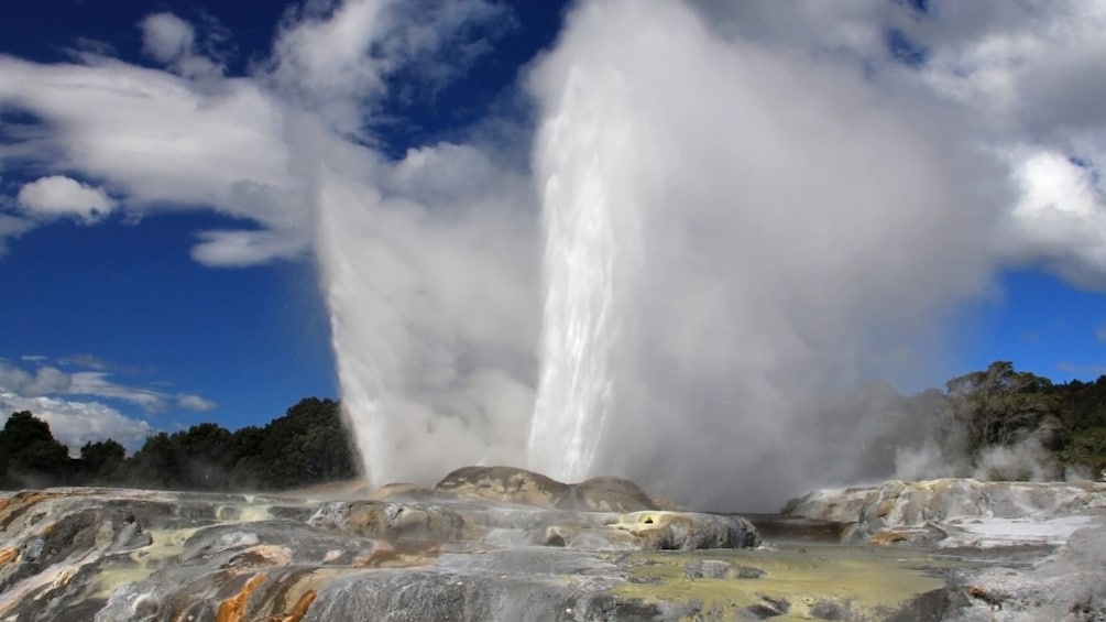 Geyser in the North to South tour in Canterbury New Zealand. 
