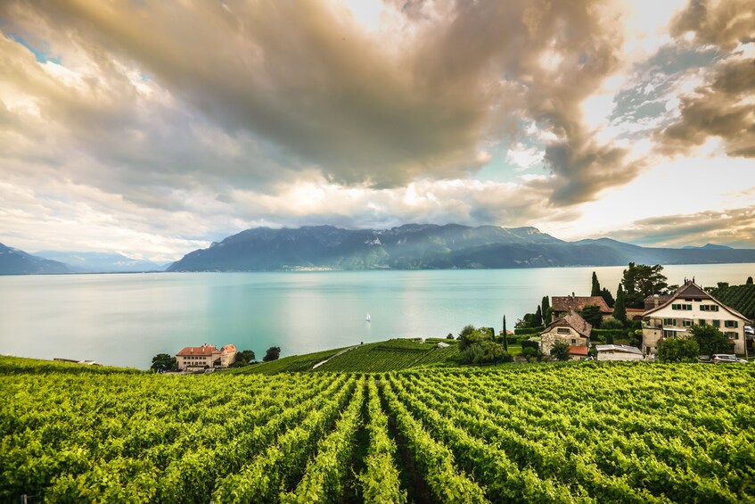 Lausanne, Vevey, Montreux, Chillon Castle Private Day Tour