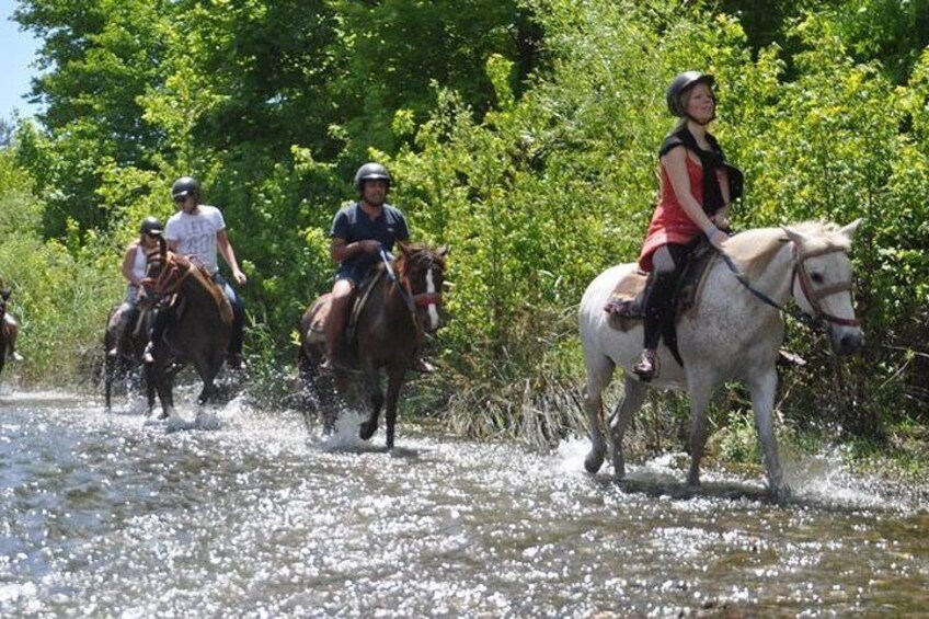 Horse Safari