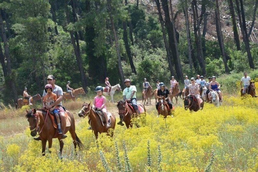 Horse Safari