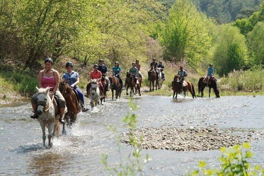 Horse Safari