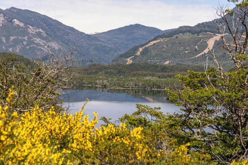 San Martin de los Andes by The 7 Lakes Route