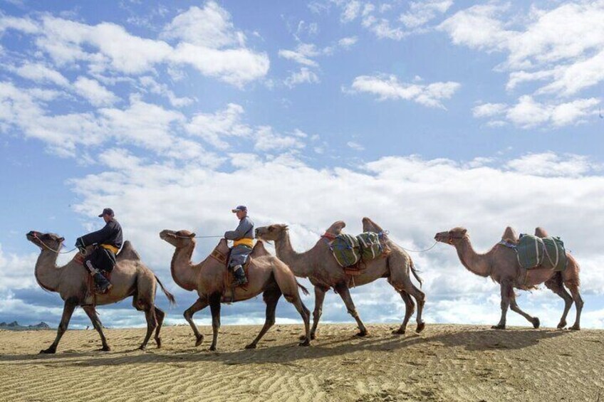The Essence of Mongolia 4 Days