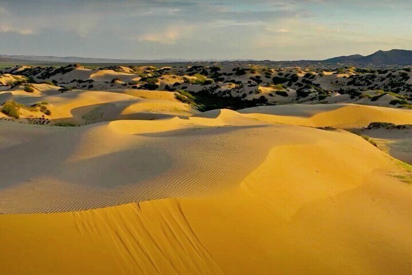 The Essence of Mongolia 4 Days