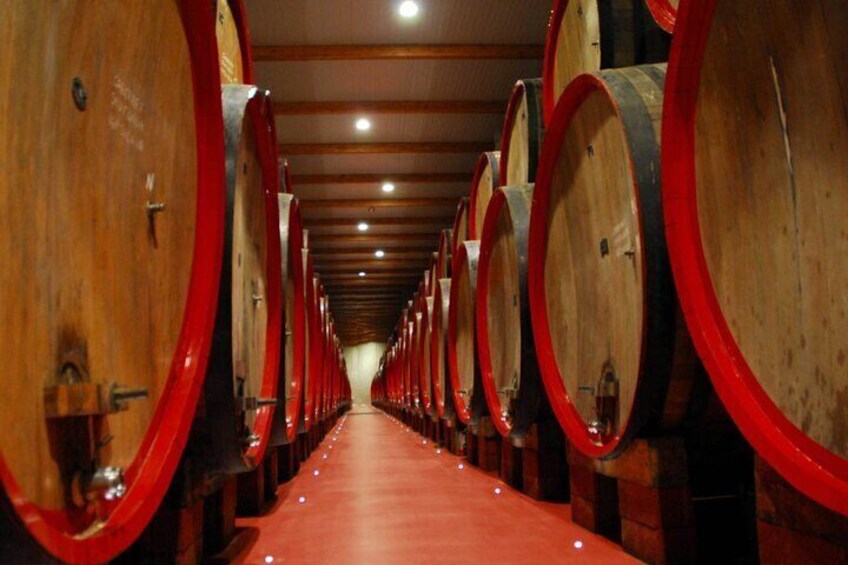 Modena Food:Prosciutto,Parmigiano,Balsamic,Wine,Lunch,Transport