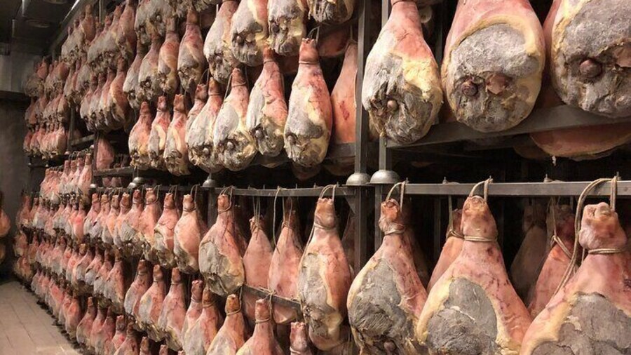 Modena Food:Prosciutto,Parmigiano,Balsamic,Wine,Lunch,Transport