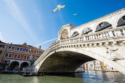 From Verona: Day trip to Venice with tour guide