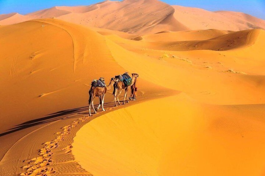 casablanca to sahara desert tour