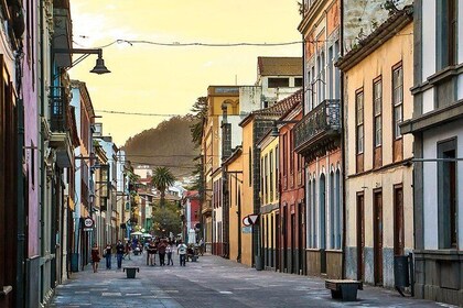 Private 4-hour Tour to La Laguna from Tenerife from Hotel or Port pick-up