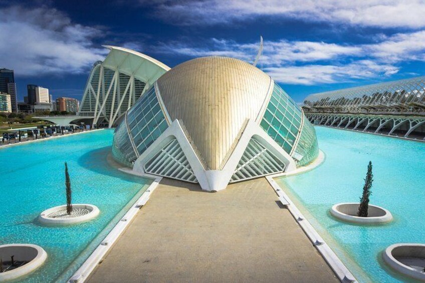 Discover Valencia's Art and Culture with a Local