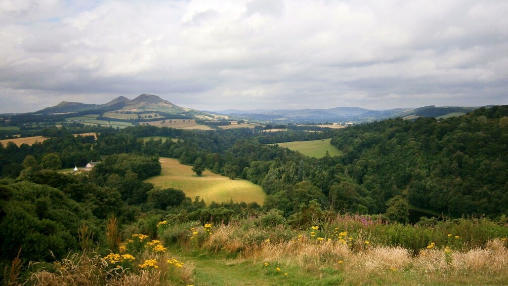 Countryside in Edinburgh