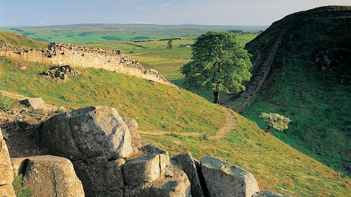 Small-Group Hadrian's Wall, Roman Britain & Borders Full-Day Tour