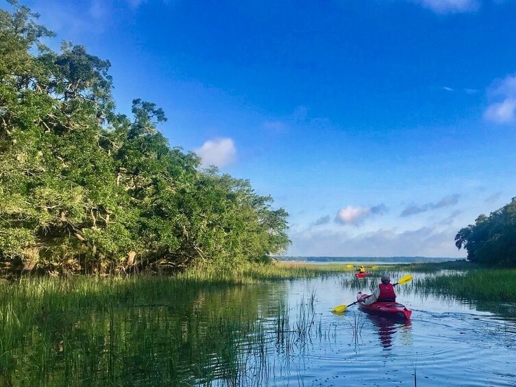 2 Hour Guided Kayak Tour 