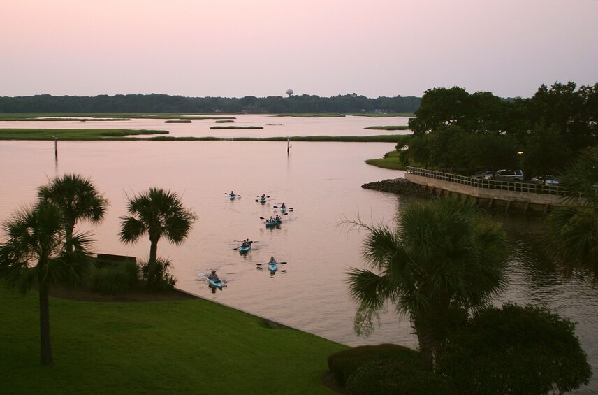 2 Hour Guided Kayak Tour 