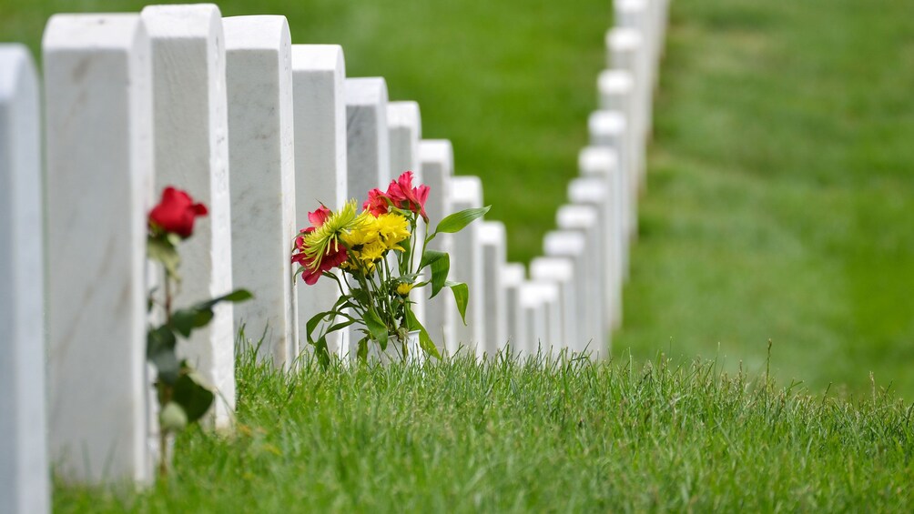 Row of tombstones with flowers at the Arlington National Cemetery in Washington DC