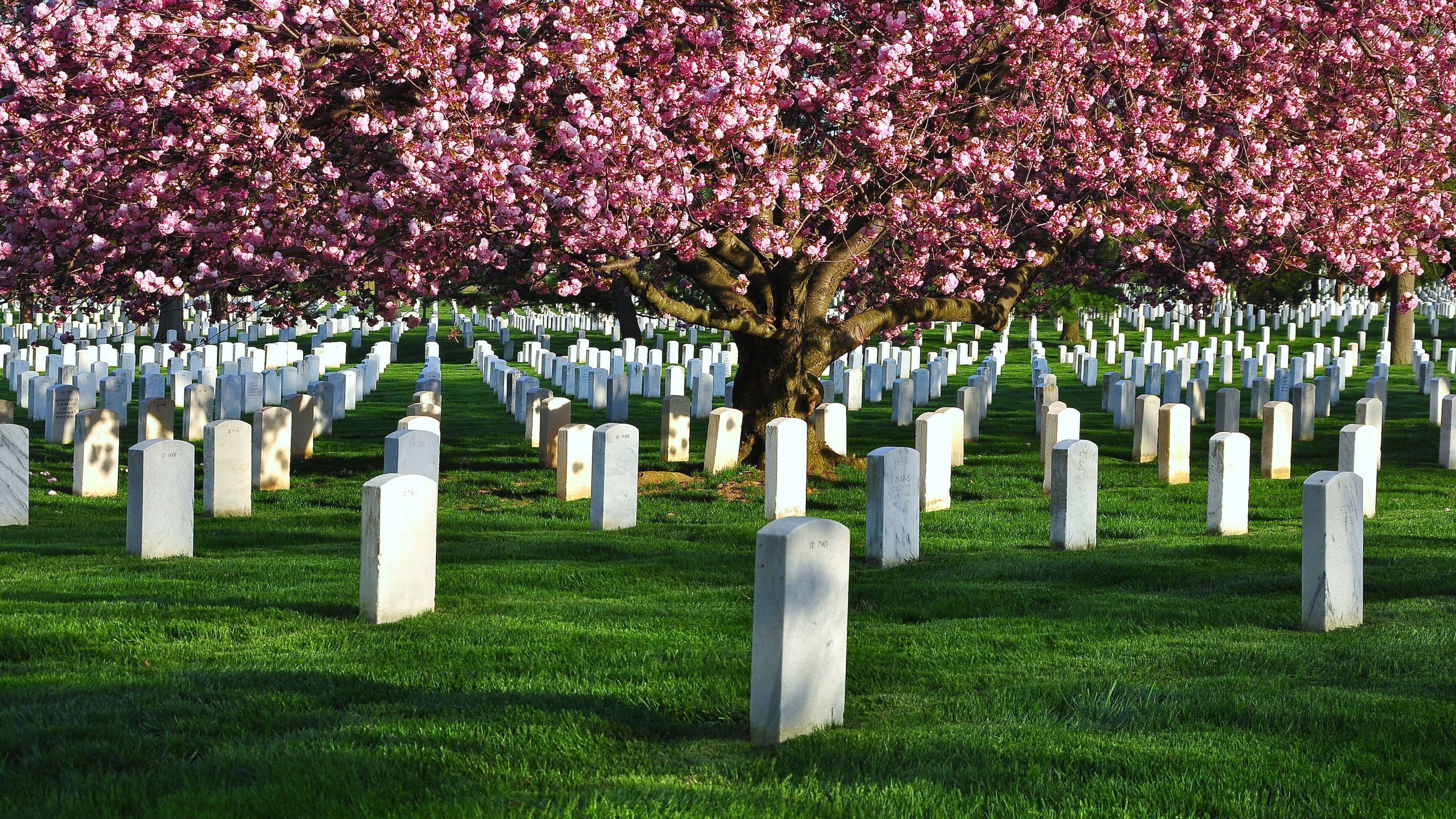 arlington-national-cemetery-tour