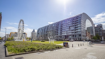 Best Intro Tour of Rotterdam with a Local