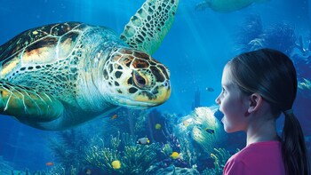 SEA LIFE Kansas City Aquarium