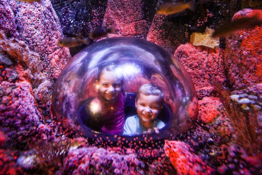 SEA LIFE Michigan Aquarium