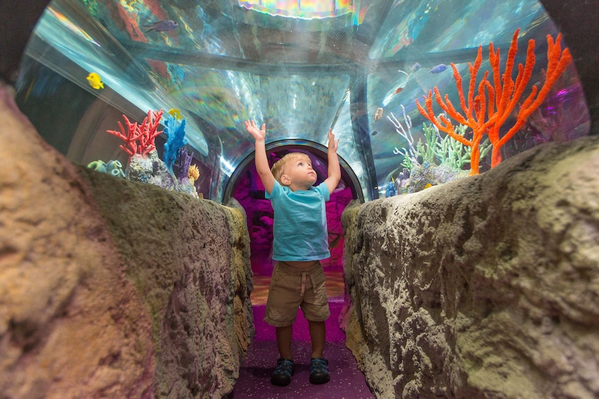 SEA LIFE Michigan Aquarium