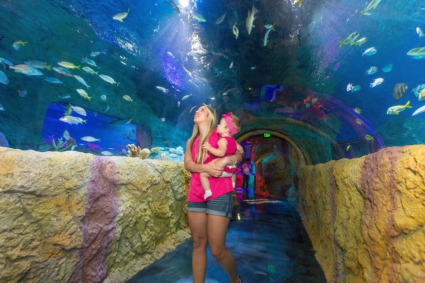 SEA LIFE Michigan Aquarium