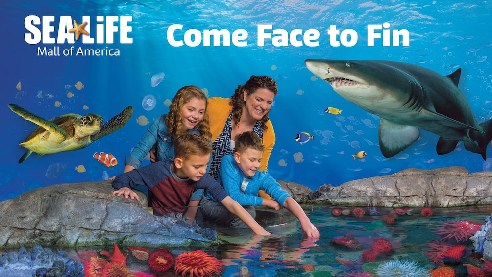 SEA LIFE at Mall of America