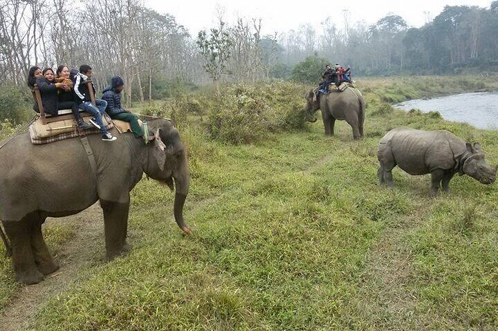 Chitwan Jungle Safari Tour – 2 Night /3 Days With Private Transportation