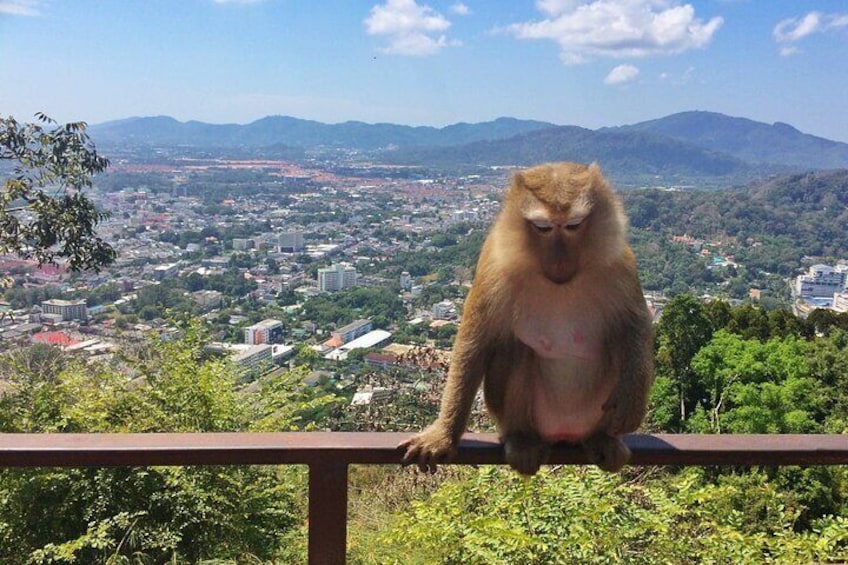Marvel at the captivating views from the Khao Rang Hill Viewpoint, commonly known as Monkey Hill.