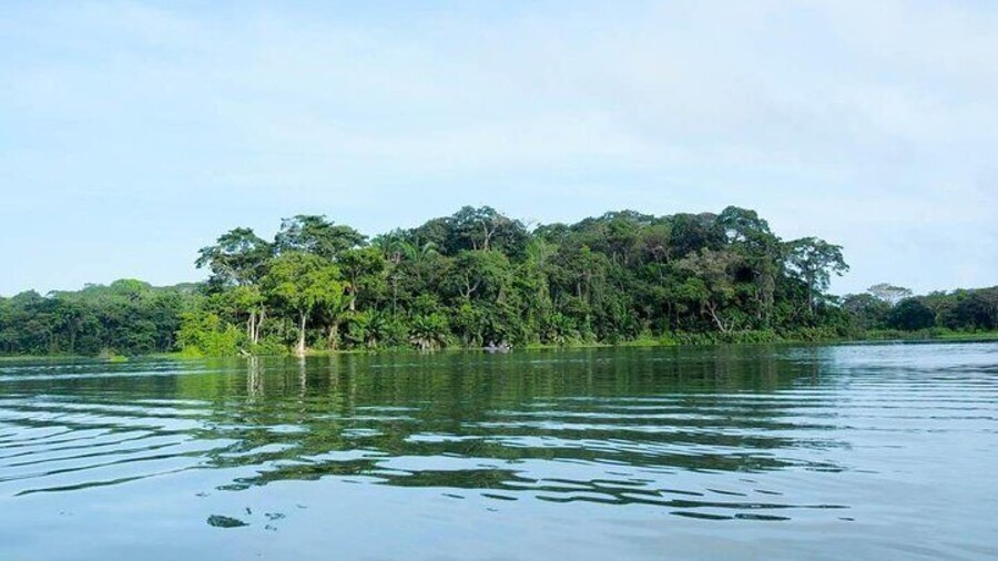 Gatun Expedition Monkey island Tour