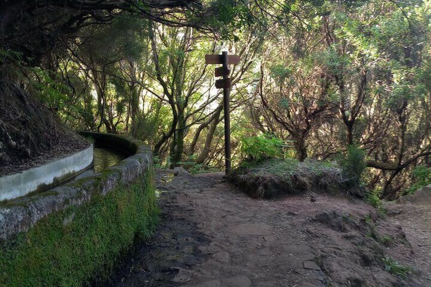 25 Fountains Levada Walk in Rabaçal 