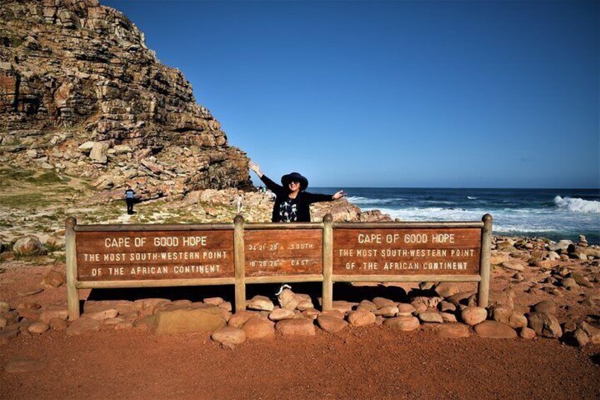 Private Tour : Table Mountain and Penguins with Cape of Good Hope