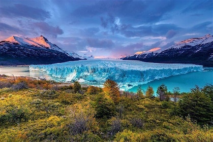 National Park - Perito Moreno Glacier - (Optional Nautic Safari)