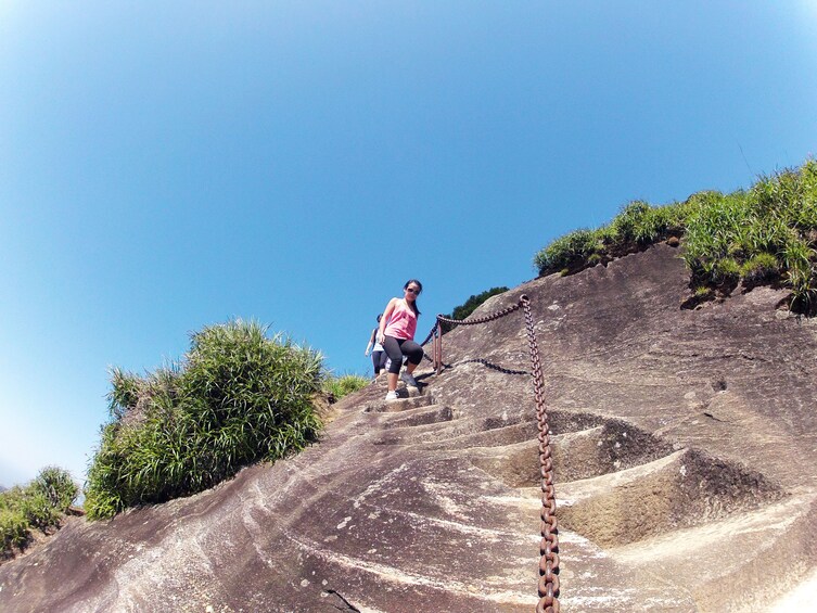 Pico da Tijuca Hiking Tour