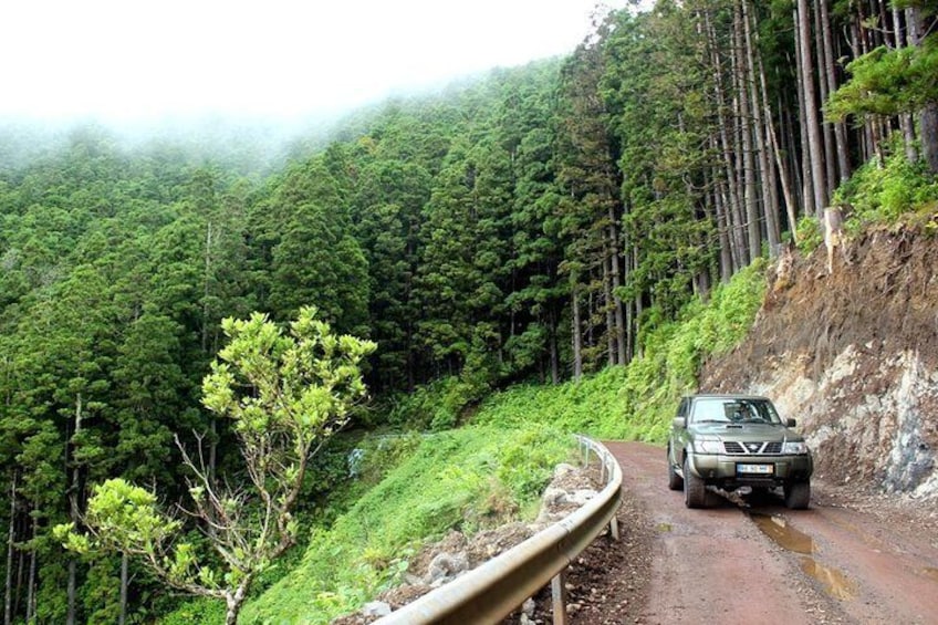 Surrounding Serra da Tronqueira in Nordeste.