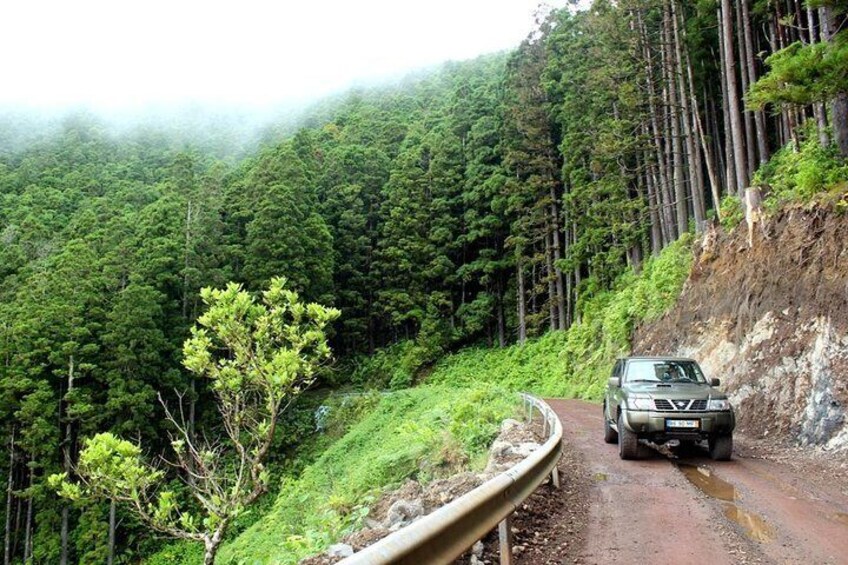 Surrounding Serra da Tronqueira in Nordeste.