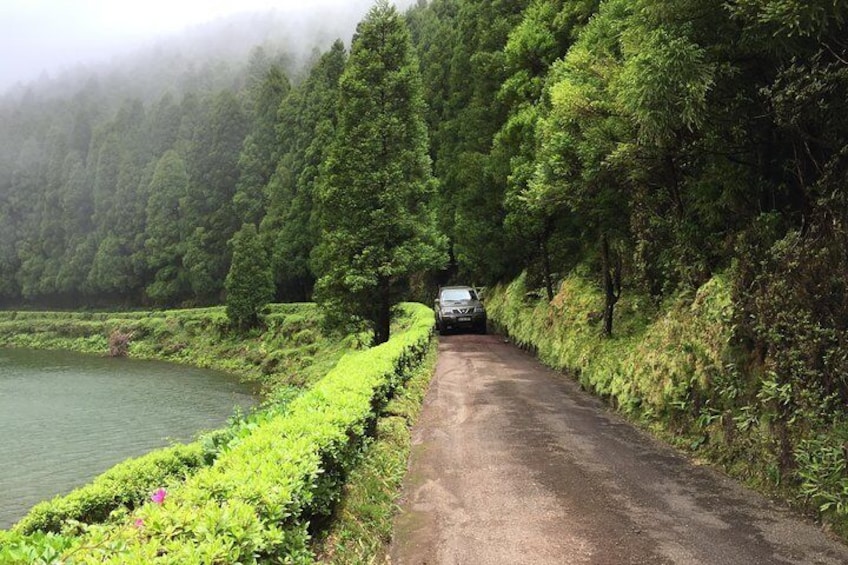 Visit Empadadas in the Massif of Sete Cidades.