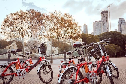 E-Bike Tour through Buenos Aires City Center & Puerto Madero