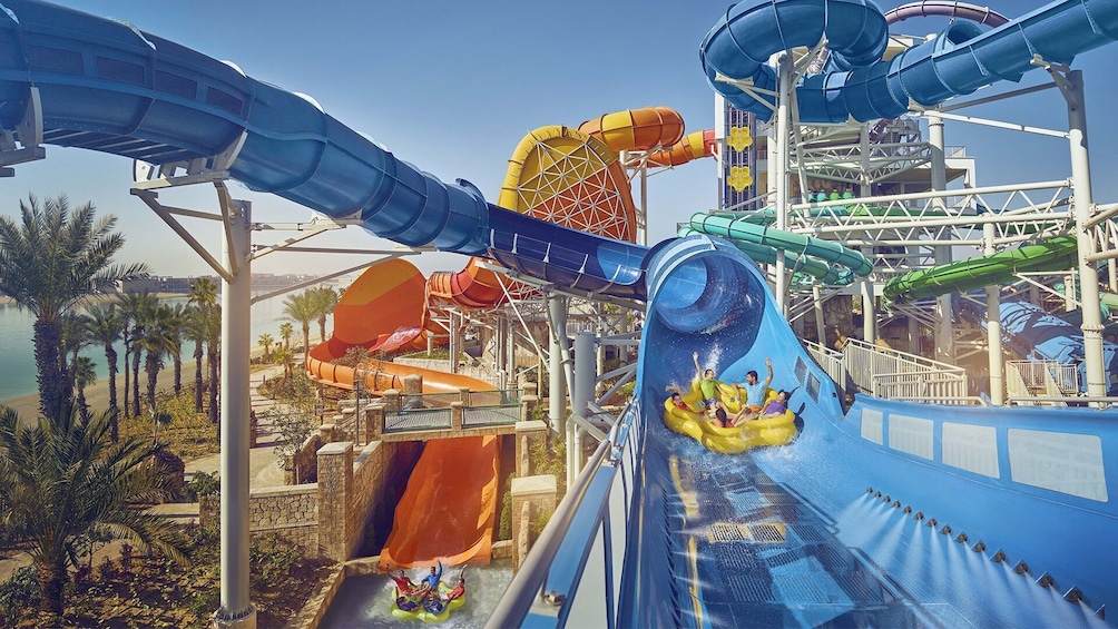 Dolphin Bay Trek & Aquaventure Waterpark Tickets