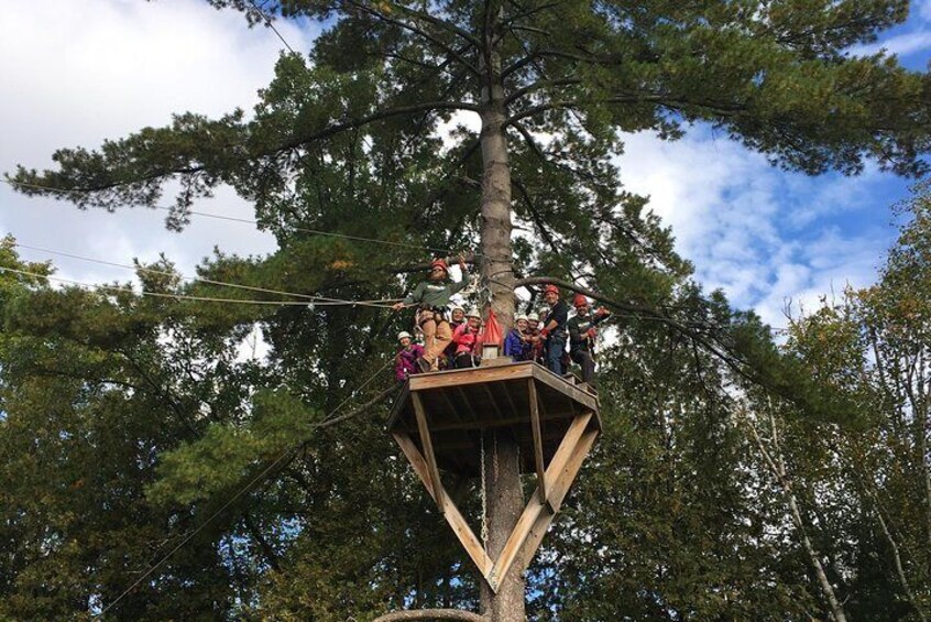 Tree platforms are in the mix as well.