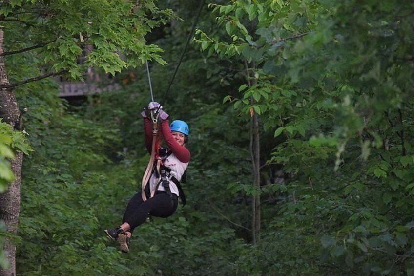 Wildman Zip Tour