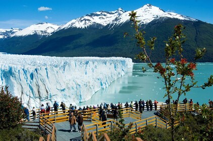 Unesco Jewels: The Famous Perito Moreno Glacier